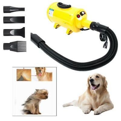 Summer Dog Cat Pet Groomming Blow Hair Dryer Quick Draw Hairdryer Yellow 2800w